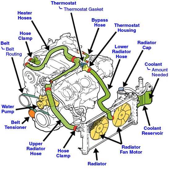 Visual Guide To The Heater Hose Routing In A 2013 Ford Escape