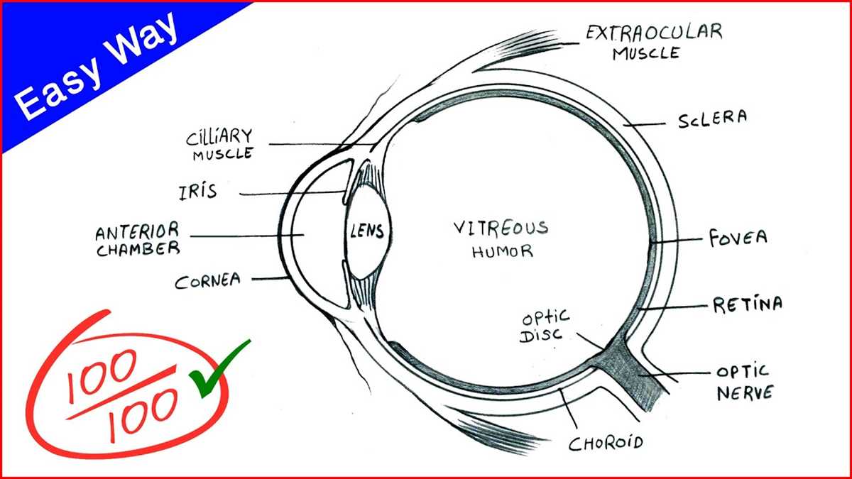 Understanding Eye Diagrams In Digital Communication