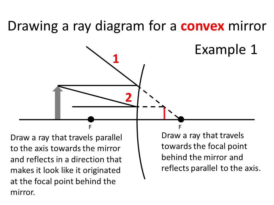 Discover The Key To Understanding Mirror Ray Diagrams With Worksheet