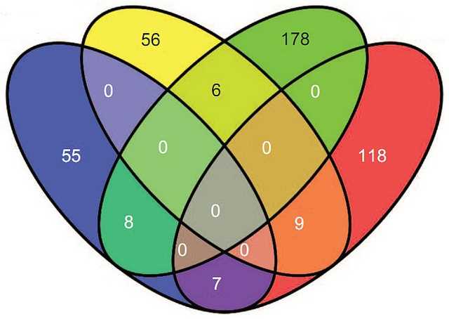 Creating Venn Diagrams With Geogebra